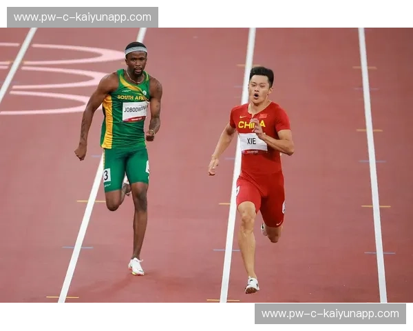 田径最新战报：突破极限，成就辉煌